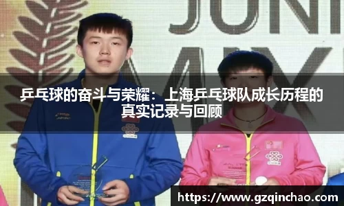 乒乓球的奋斗与荣耀：上海乒乓球队成长历程的真实记录与回顾