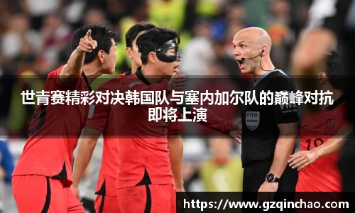 乐发Vll彩票官方