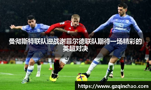 乐发Vll彩票官方